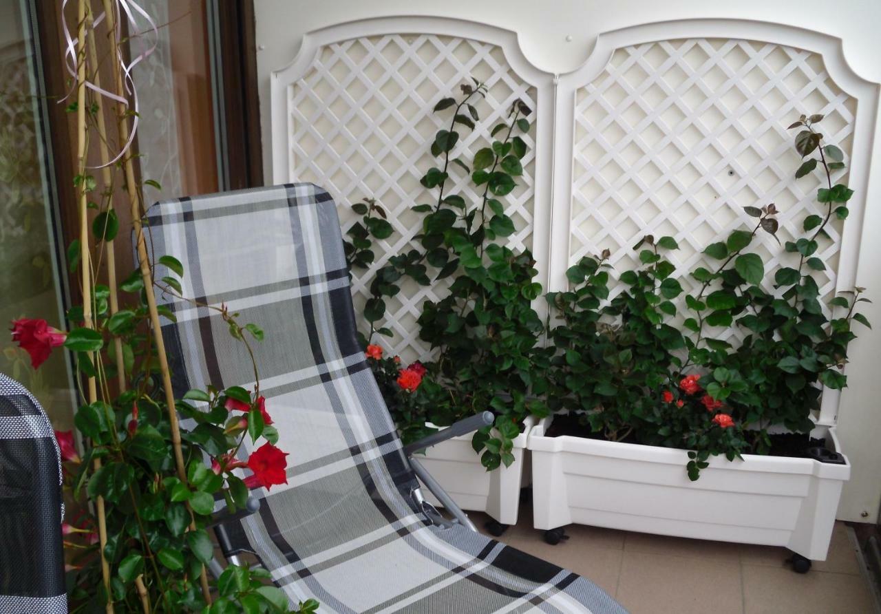 Ferienwohnung Rothe Dippoldiswalde Bagian luar foto