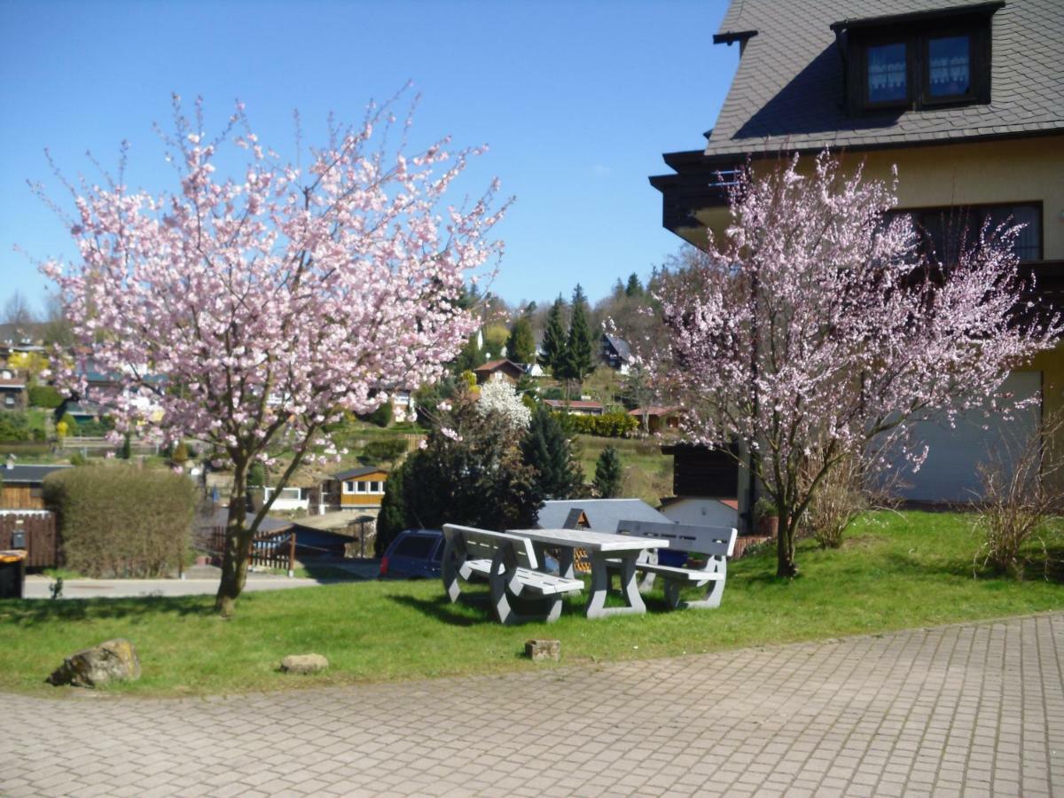 Ferienwohnung Rothe Dippoldiswalde Bagian luar foto